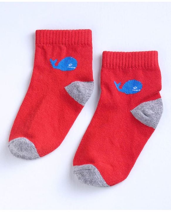 Cute Walk by Babyhug Ankle Length Anti Bacterial Socks Printed Pack of 3 - Multicolour