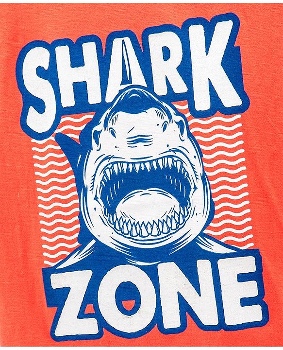 Pine Kids Half Sleeves Biowashed T-Shirt Text Print - Orange
