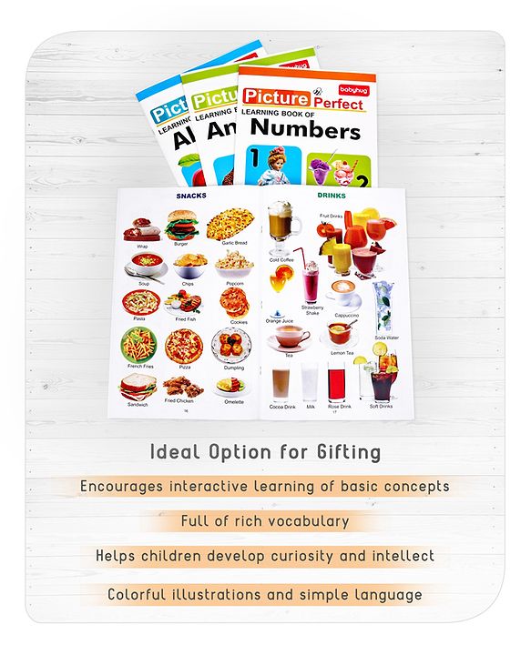 Babyhug Big Picture Early Learning Books Pack Of 4 - English