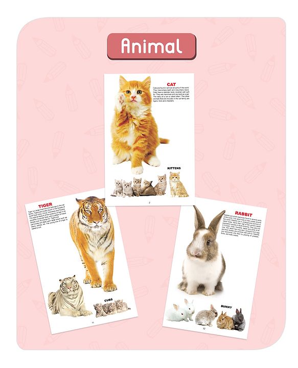 Babyhug Big Picture Early Learning Books Pack Of 4 - English