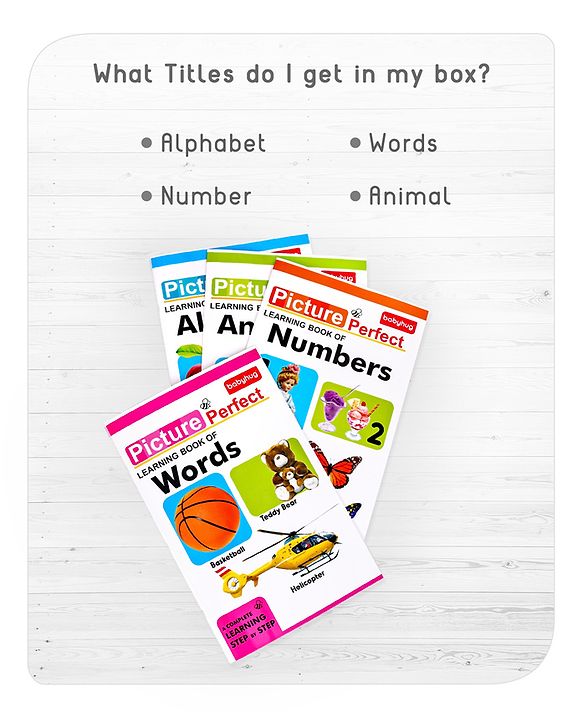 Babyhug Big Picture Early Learning Books Pack Of 4 - English