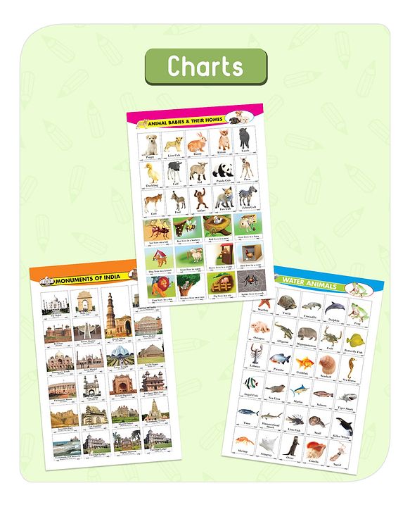 Babyhug Big Picture Early Learning Activity Books Pack Of 4 - English