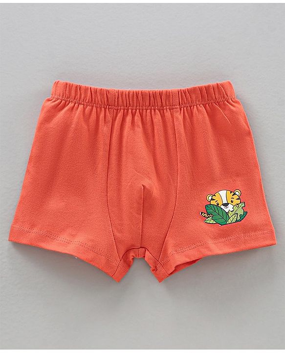 Babyhug Cotton Briefs Striped & Printed Pack of 3 - Multicolour