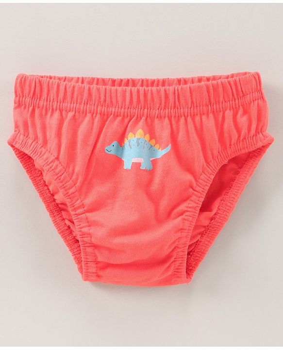 Babyhug Antibacterial Briefs Dinosaurs Print Pack of 3 - Multicolour