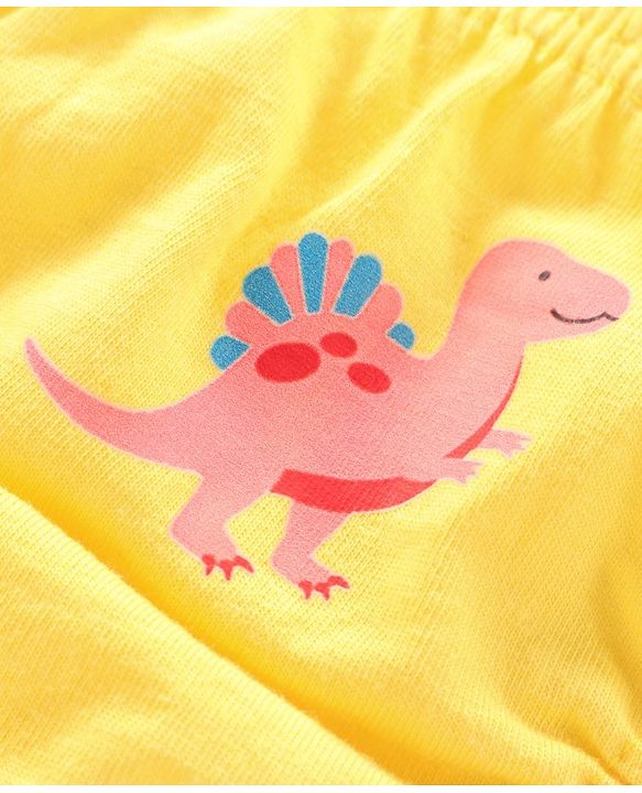 Babyhug Antibacterial Briefs Dinosaurs Print Pack of 3 - Multicolour