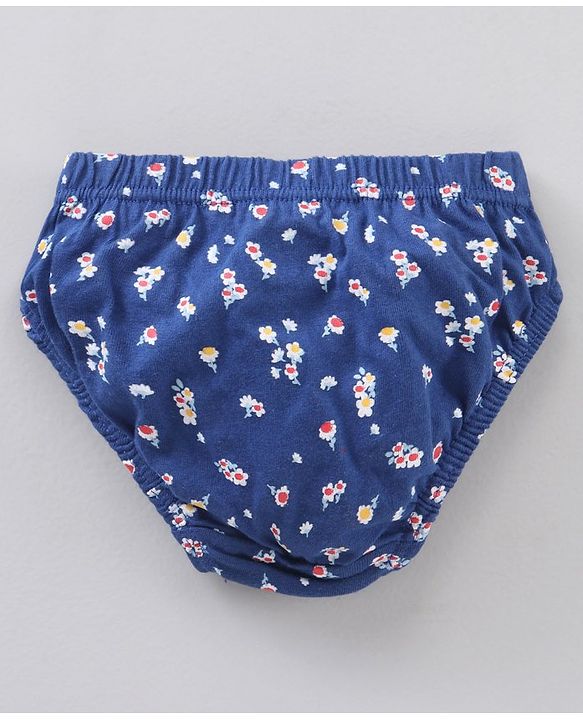Babyhug Antibacterial Finish Cotton Panties Floral Dot And Heart Print Pack Of 3 - Blue Pink