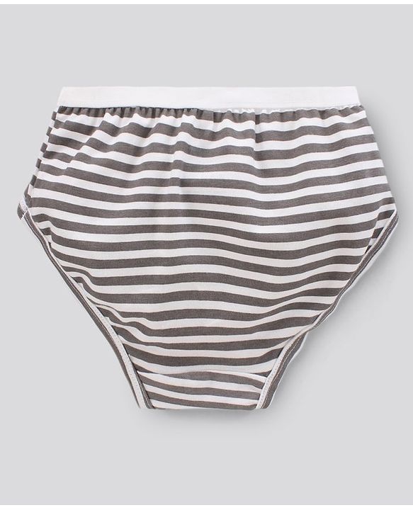 Pine Kids Antimicrobial & Biowashed Panties Pack Of 3 (Colour May Vary)