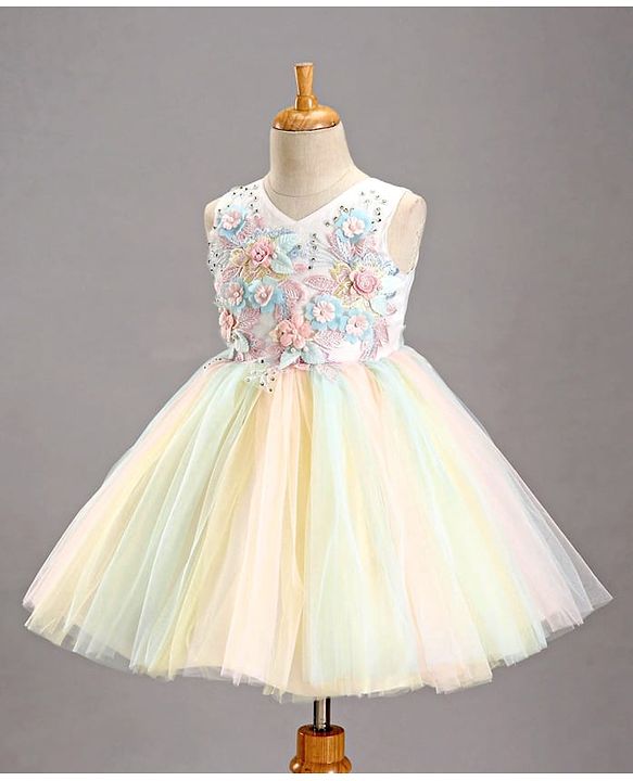 Babyhug Sleeveless Party Wear Tutu Frock Corsage Applique - Multicolor
