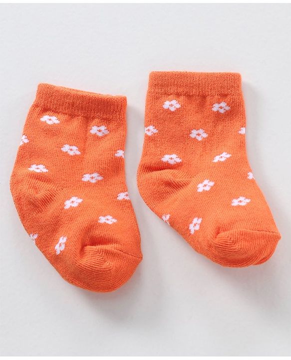 Cute Walk by Babyhug Ankle Length Anti-Bacterial Socks Multi Pattern Pack Of 3 - Multicolor