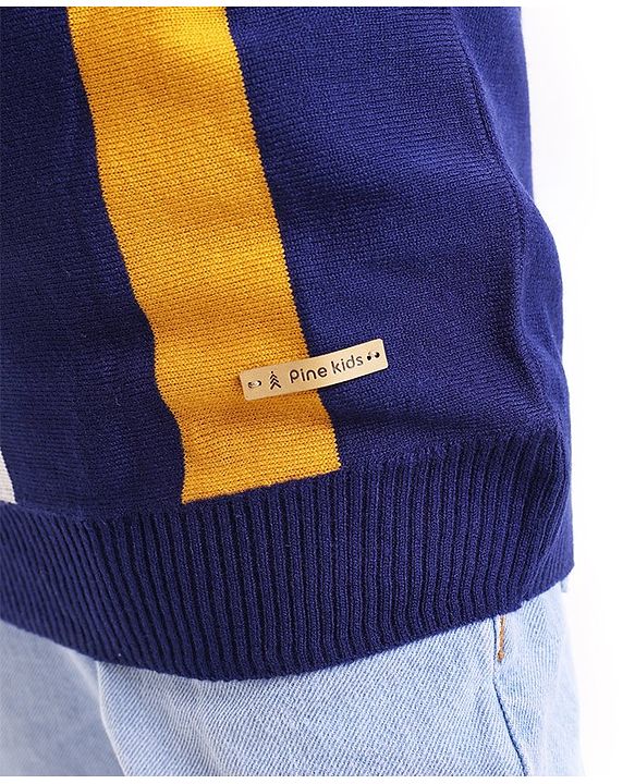 Pine Kids Full Sleeves Knit Vertical Stripe Pullover - Multicolor