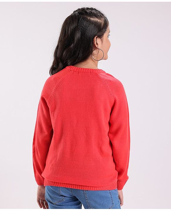 Pine Kids Full Sleeves Embroidered Pullover Sweater - Multicolor