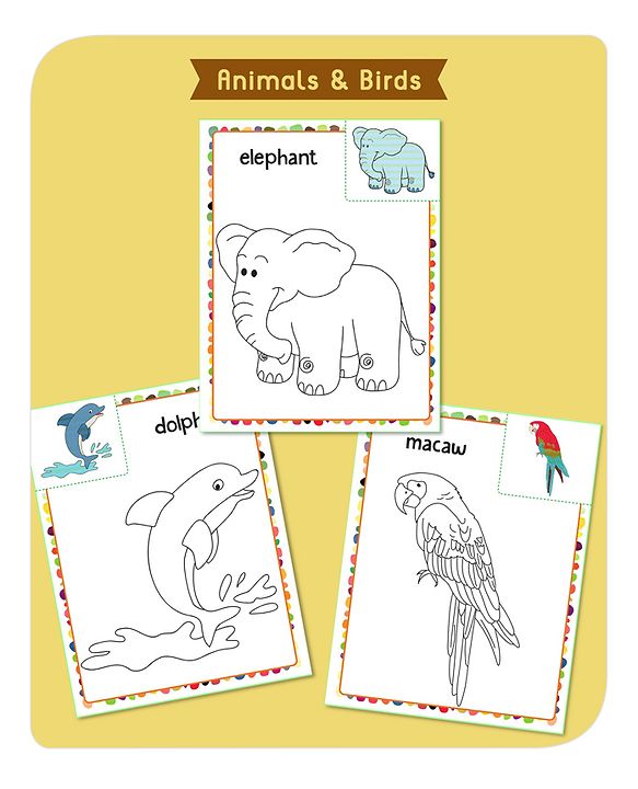 Babyhug My First Copy Colouring Books Pack of 6 - English