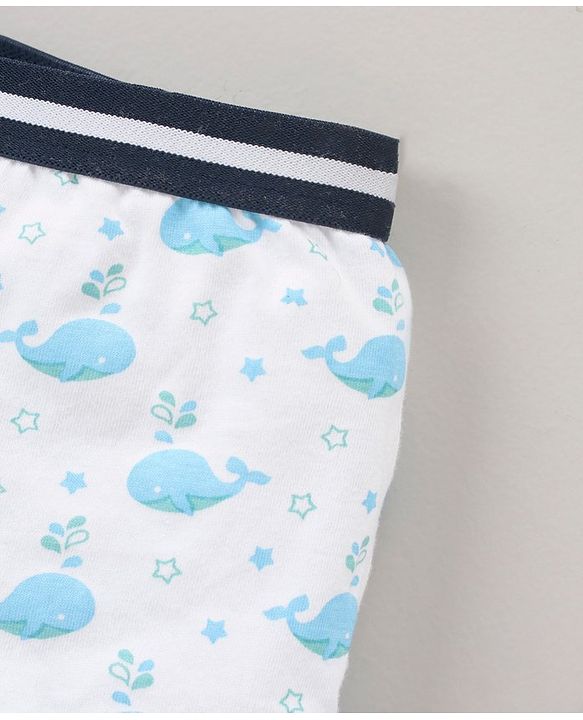 Babyhug 100% Cotton Briefs Pack of 3 - Multicolor