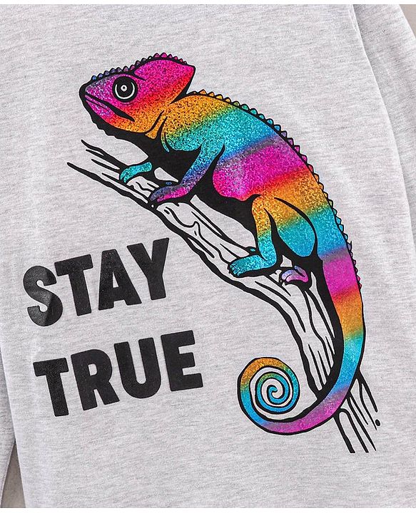 Pine Kids Full Sleeves Biowashed T-Shirt Chameleon & Text Print - Grey