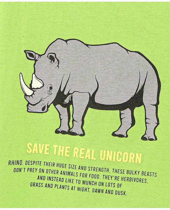 Pine Kids Full Sleeves Biowashed Tee Hippo Print - Light Green