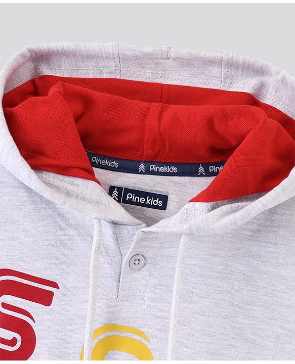Pine Kids Hooded Full Sleeve Sweatshirt with Skater Print - Grey Melange