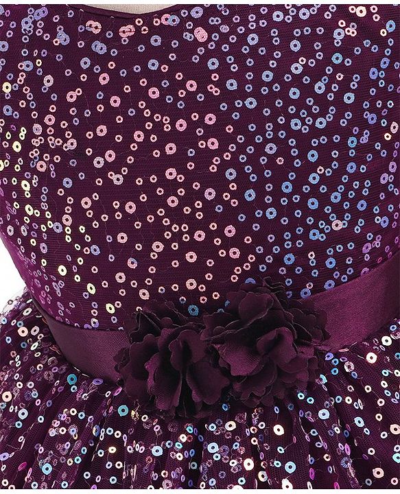 Babyhug Cap Sleeves All Over Sequined Party Frock - Wine
