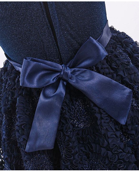 Babyhug Mesh Sleeveless Embroidery Frock - Navy