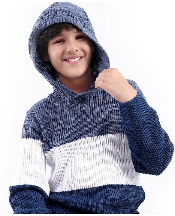 Pine Kids Full Sleeves Color Block Hooded Sweater for Moderate Winter - Multicolour