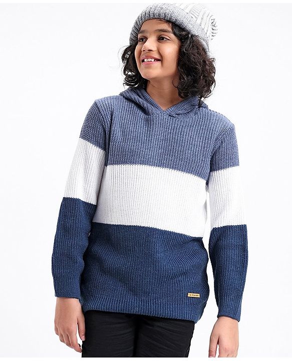 Pine Kids Full Sleeves Color Block Hooded Sweater for Moderate Winter - Multicolour