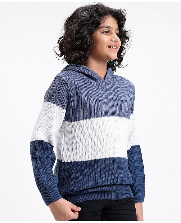 Pine Kids Full Sleeves Color Block Hooded Sweater for Moderate Winter - Multicolour