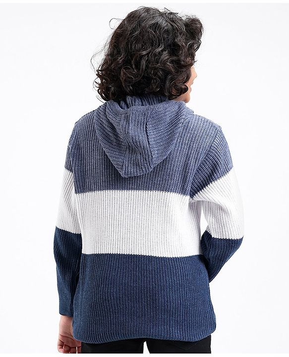 Pine Kids Full Sleeves Color Block Hooded Sweater for Moderate Winter - Multicolour