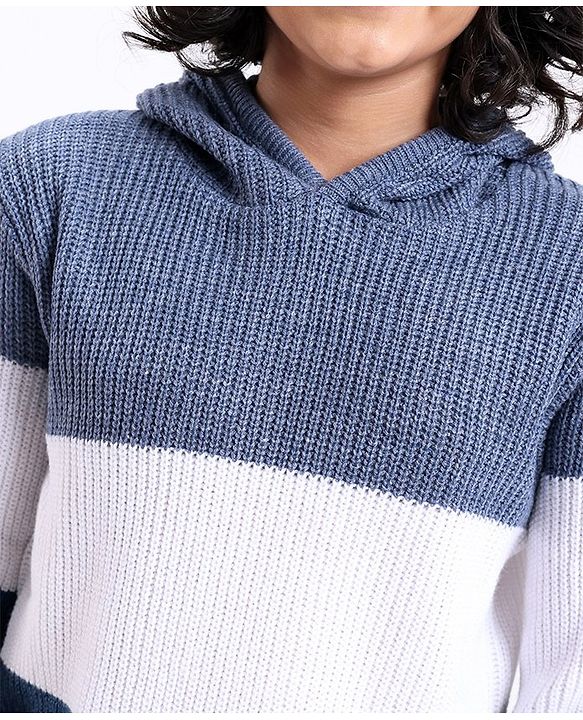 Pine Kids Full Sleeves Color Block Hooded Sweater for Moderate Winter - Multicolour