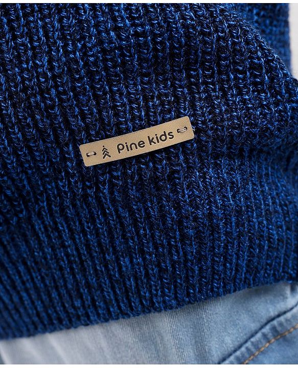Pine Kids Full Sleeves Moderate Winter Colour Block Pullover Sweater - Multicolour