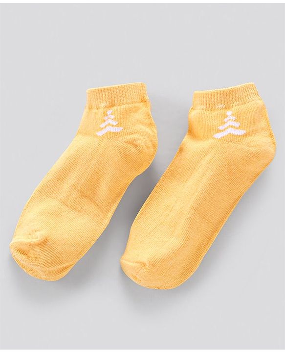 Pine Kids Anti Microbial and Striped Ankle Length Socks Pack of 3 Pairs (Color May Vary)