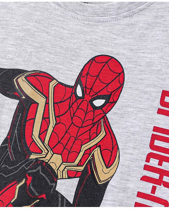 Pine Kids Biowashed Spider Man Collection Full Sleeves Tee - Light Grey