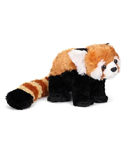 Wild Republic CK Red Panda Brown & Black 30 cm Online India, Buy Soft Toys  for (3-8Years) at  - 1184691