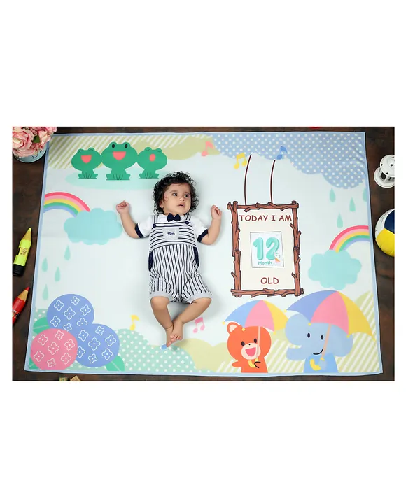 New Comers Milestone Blanket And Props For BabyS Monthly