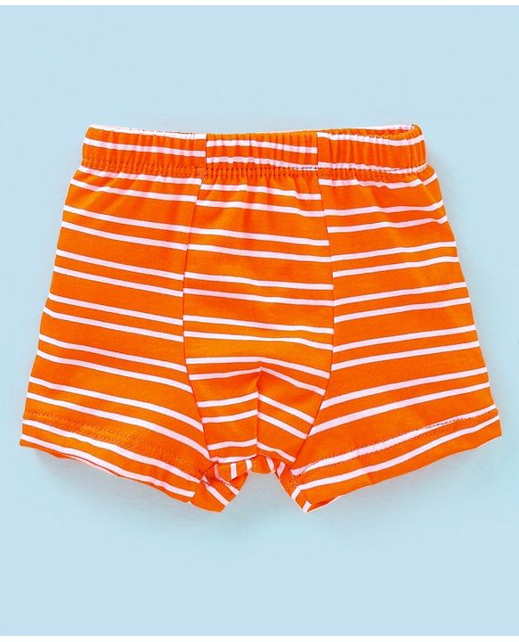 Babyhug 100% Cotton Striped & Wild Animals Printed Briefs Pack of 3 - Grey & Orange