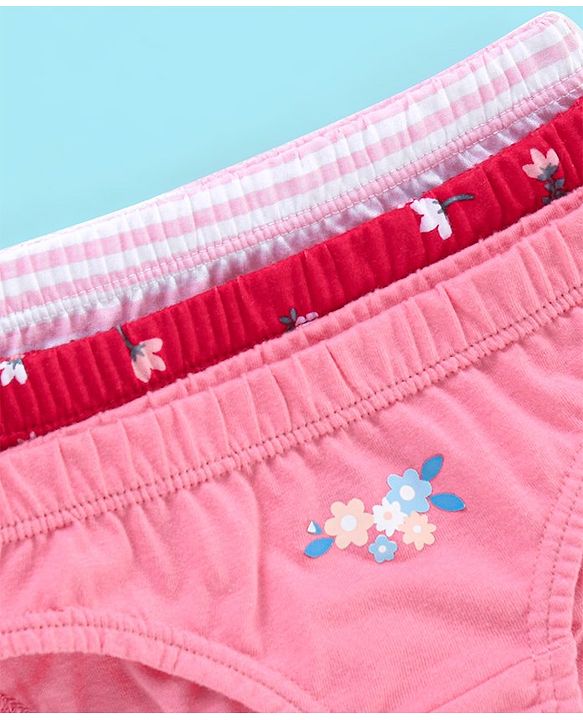 Babyhug 100% Cotton Panties Stripes & Floral Print Pack of 3- Pink & Red