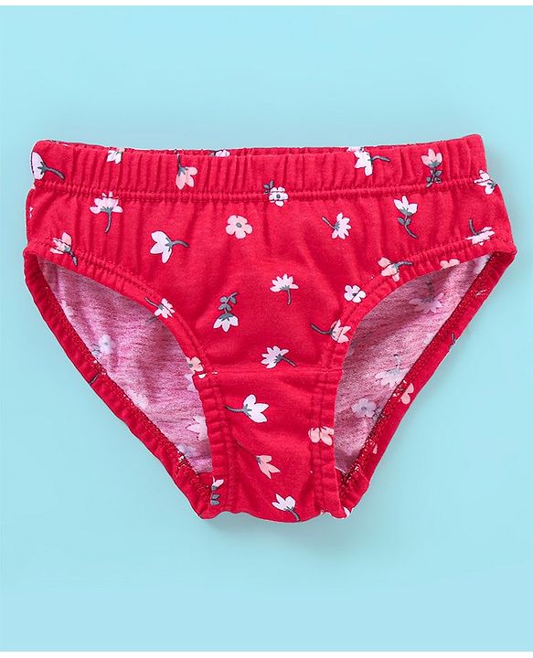 Babyhug 100% Cotton Panties Stripes & Floral Print Pack of 3- Pink & Red