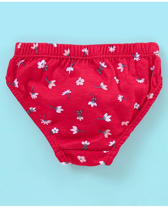 Babyhug 100% Cotton Panties Stripes & Floral Print Pack of 3- Pink & Red