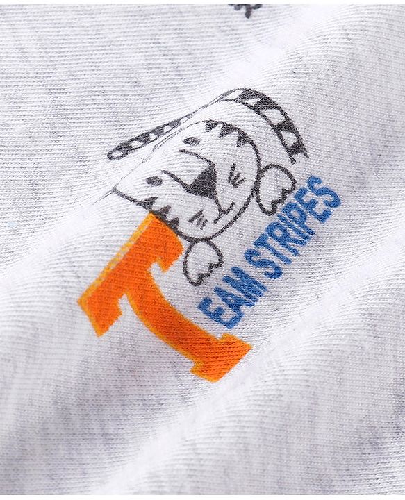 Babyhug Cotton Half Sleeves T-Shirts Tiger Print Pack Of 3 - Grey & Orange