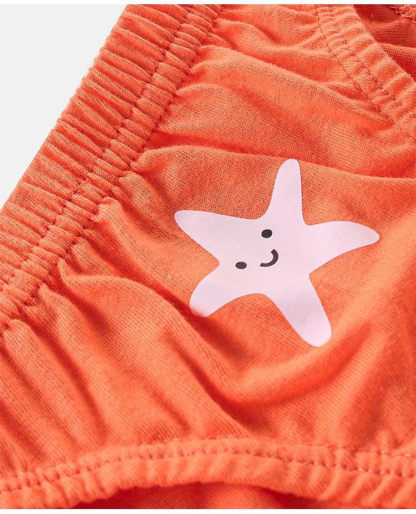 Babyhug 100% Cotton Briefs Star Print Pack of 3 - Blue White & Orange