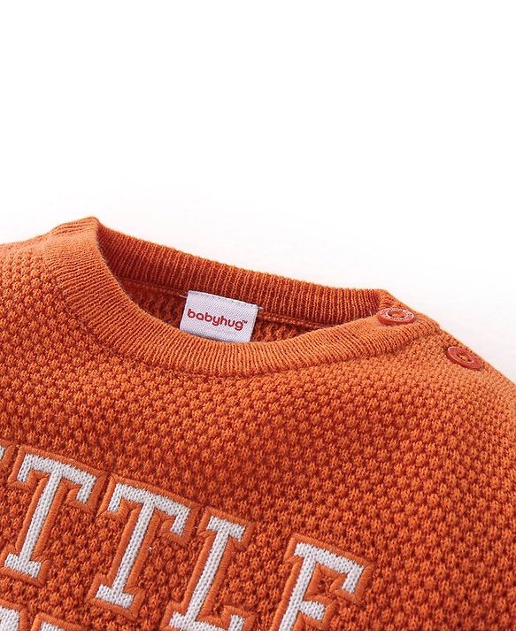 Babyhug Knit Full Sleeves Sweater with Text Design - Orange