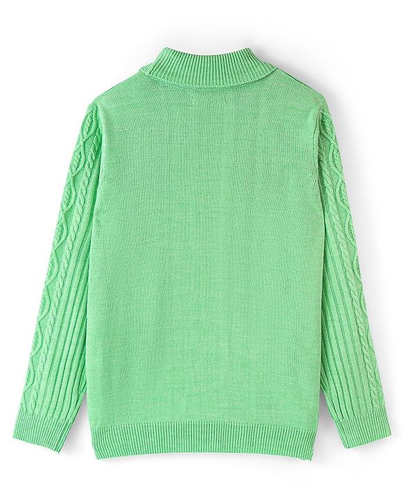 Pine Kids Knit Full Sleeves Sweater With Cable Knit Design - Green