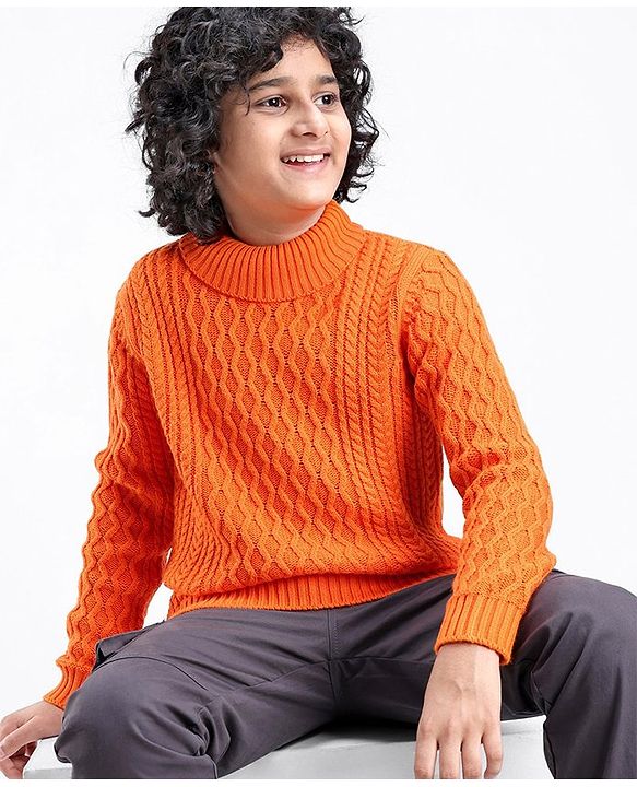Pine Kids Knit Full Sleeves Sweater With Cable Knit Design - Orange