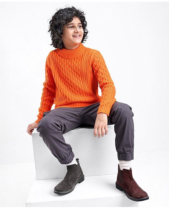 Pine Kids Knit Full Sleeves Sweater With Cable Knit Design - Orange