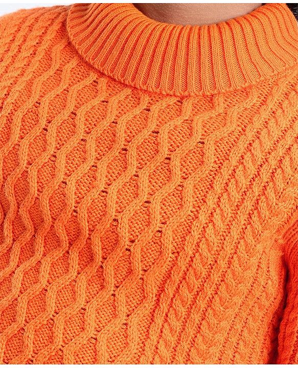 Pine Kids Knit Full Sleeves Sweater With Cable Knit Design - Orange
