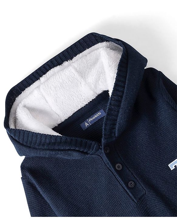 Pine Kids Full Sleeves Hooded Sweater With Embroidery - Navy Blue