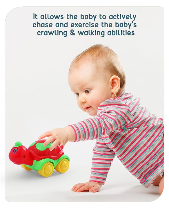 Babyhug Turtle On Wheel- Red & Green