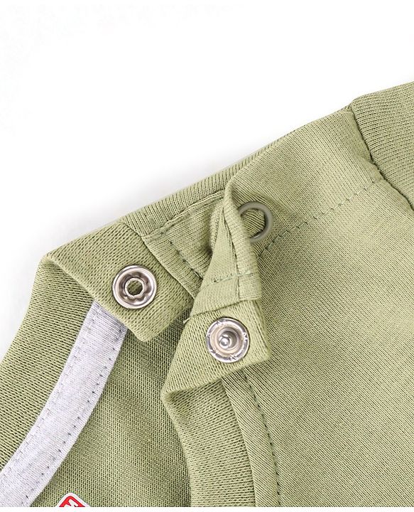 Babyhug 100% Cotton Knit Full Sleeves T-Shirt with Lion Graphics - Olive Green
