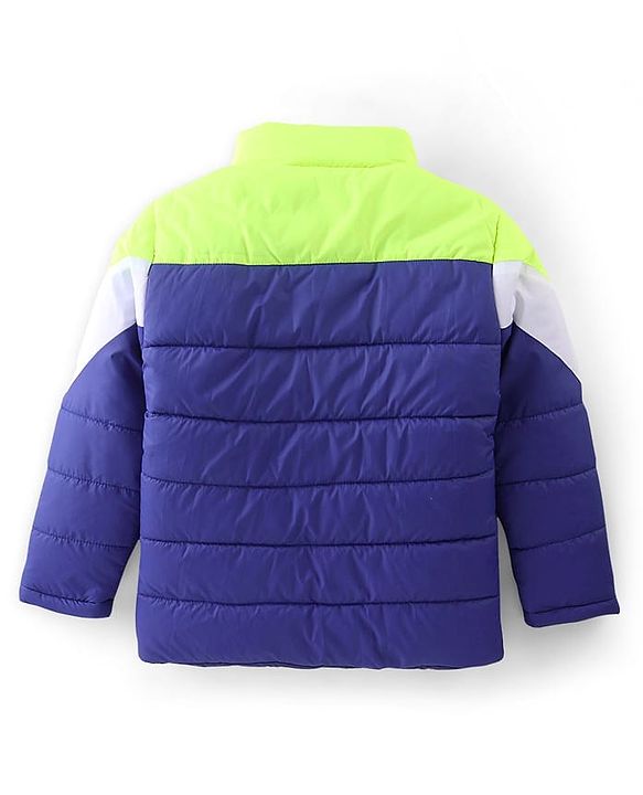 Pine Kids Full Sleeves Cut and Sew Medium Winter Jacket - Blue