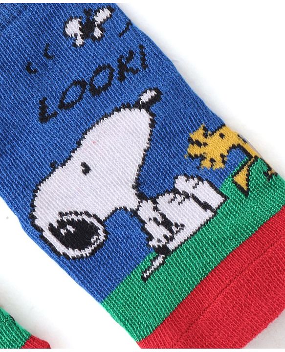 Cute Walk By Babyhug Paw Patrol Anti Bacterial Ankle Length Terry Socks- Blue
