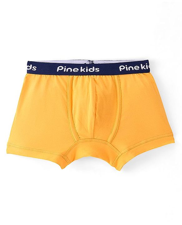 Pine Kids Cotton Lycra Solid Colour Trunks Pack of 3 - Multicolor