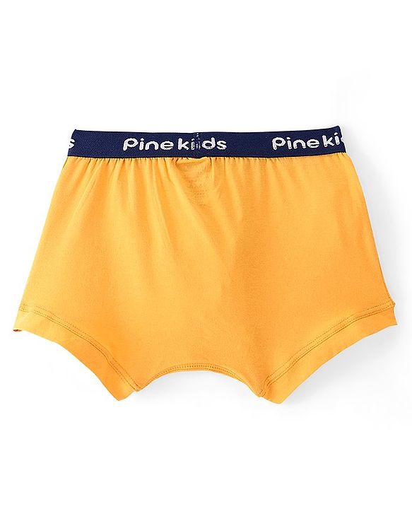 Pine Kids Cotton Lycra Solid Colour Trunks Pack of 3 - Multicolor
